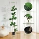 preview thumbnail 2 of 16, Artificial Fiddle Leaf Fig Tree - 5/6/7FT Fake Plant with Black Planter for Indoor Outdoor