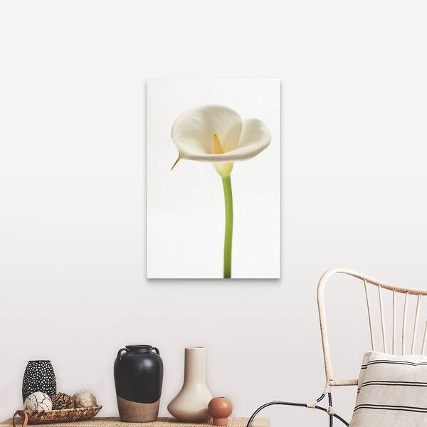 Shop Calla Lily Canvas Wall Art Free Shipping Today