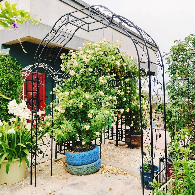 Anmytek Metal Garden Arch with Intricate Scrollwork, Weather Resistant Black Finish, Climbing Plant Trellis for Roses, Clematis