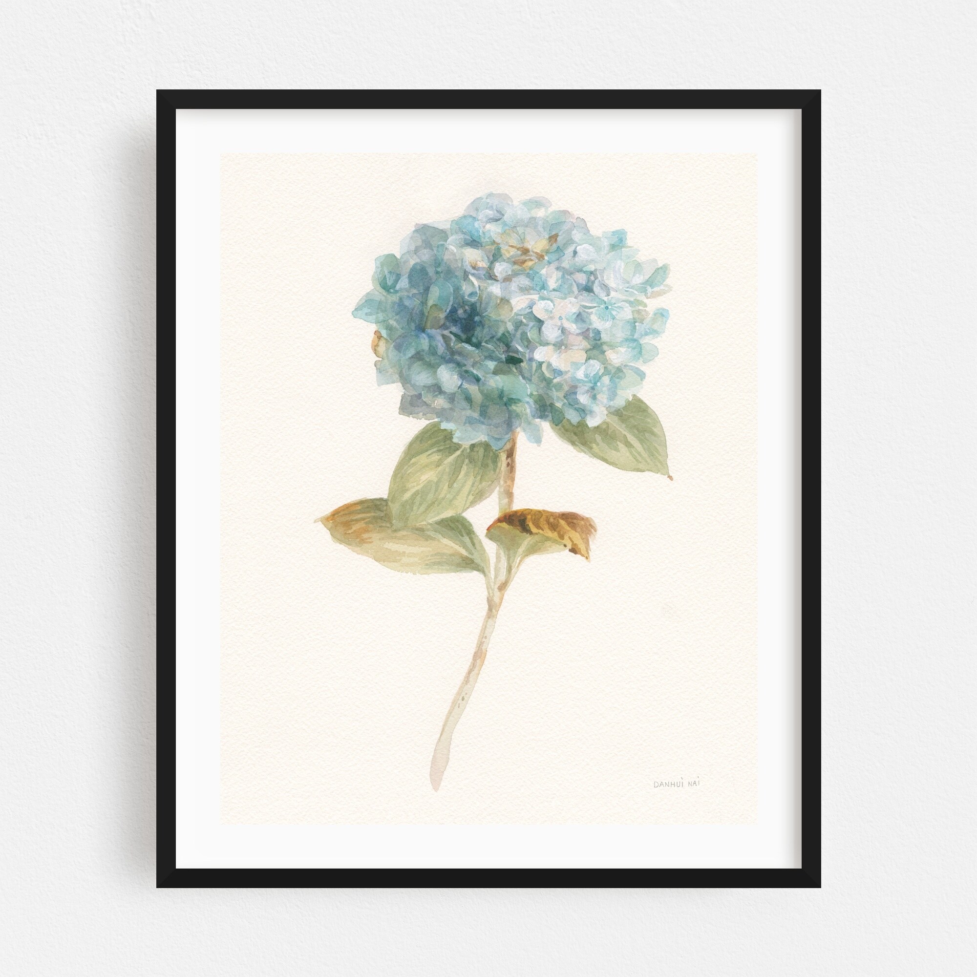 Garden Hydrangea Illustrations Floral Botanical Art Print