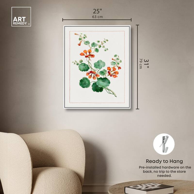 Nasturtium (1788) Canvas by Art Remedy