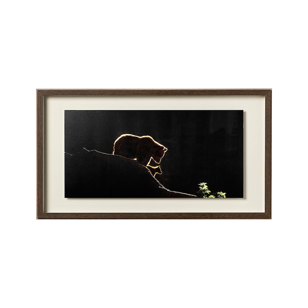Protection Framed Art Print