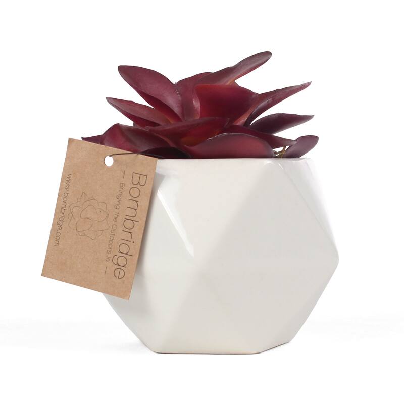 Artificial Succulent