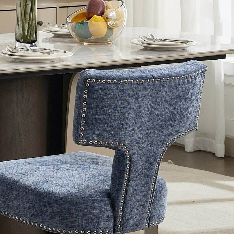 Modern Chenille Fabric Upholstered Accent Chair Dining Chairs, Set of 2