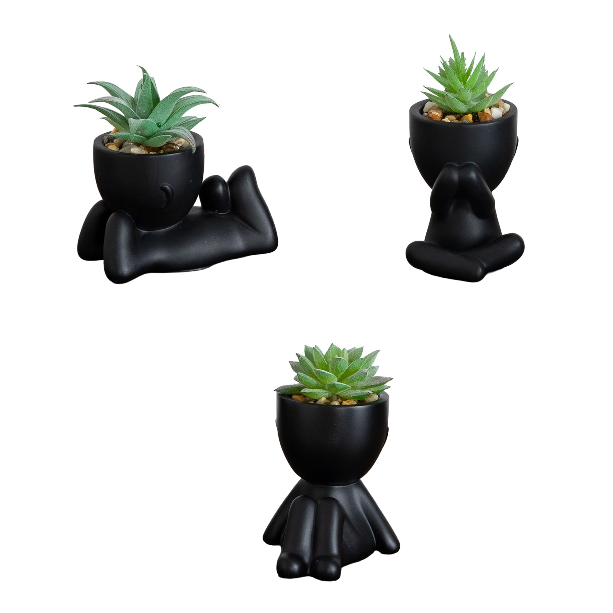 5-in Succulent Plants in Plyaful Decorative Black Planters - Set of 3