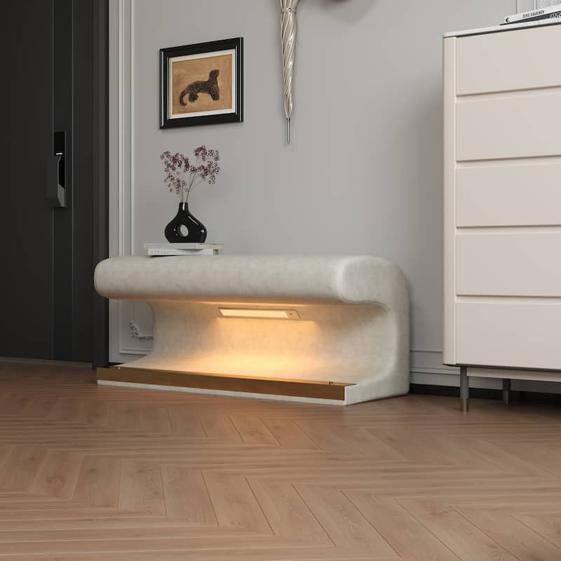 Modern & Contemporary Bench with Cushuion
