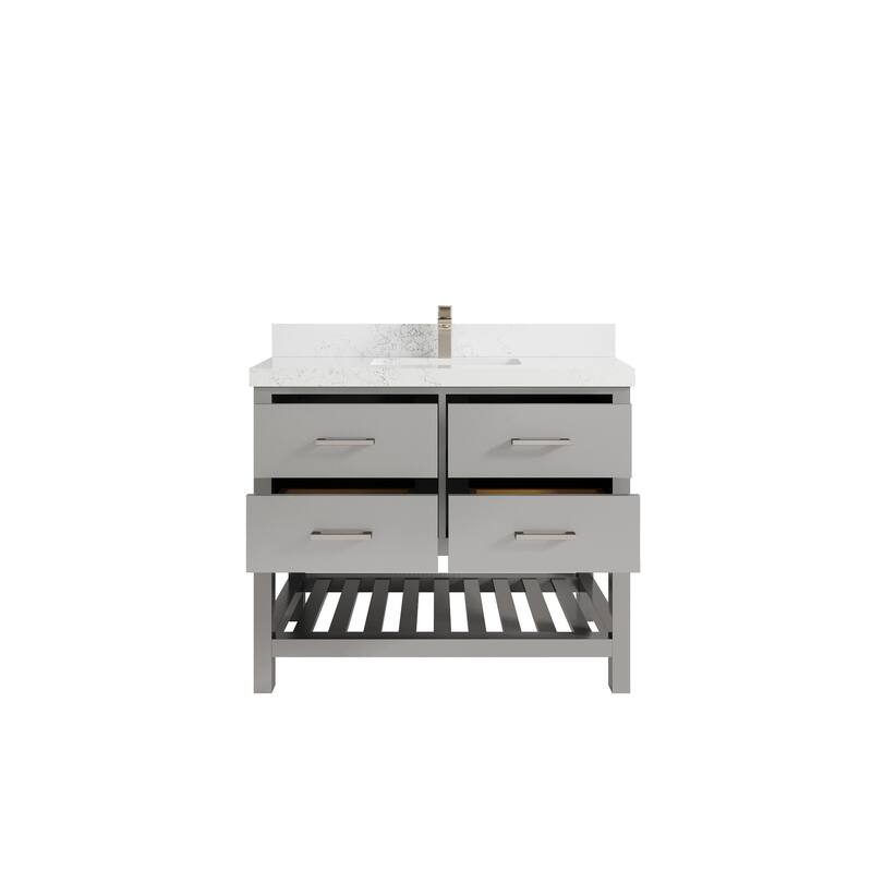 Willow Collections 42 in. W x 22 in. D Parker Single Sink Bathroom Vanity with Countertop
