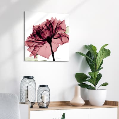 "Chianti Rose I" Rose Flower Wall Art on Frameless Free Floating Tempered Glass Panel - Pink