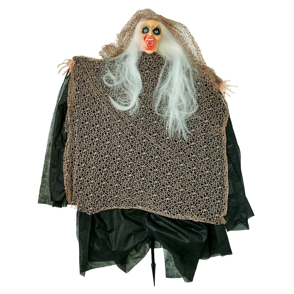 47" Halloween Light Up Eyes Witch on Stake with Rust Fish Net