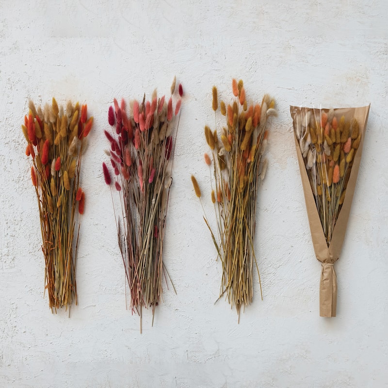 Dried Natural Bunny Tail Grass Bunch, Set of 3 - 2.0"L x 5.9"W x 19.6"H - Multi - 2.0"L x 5.9"W x 19.6"H