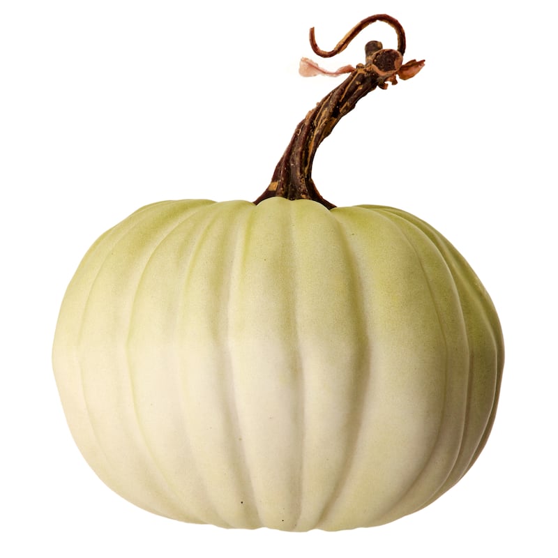Latex Harvest Vine Pumpkin Set of 2