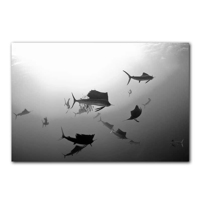 Ready2HangArt 'Sailfish' Wrapped Canvas Wall Art