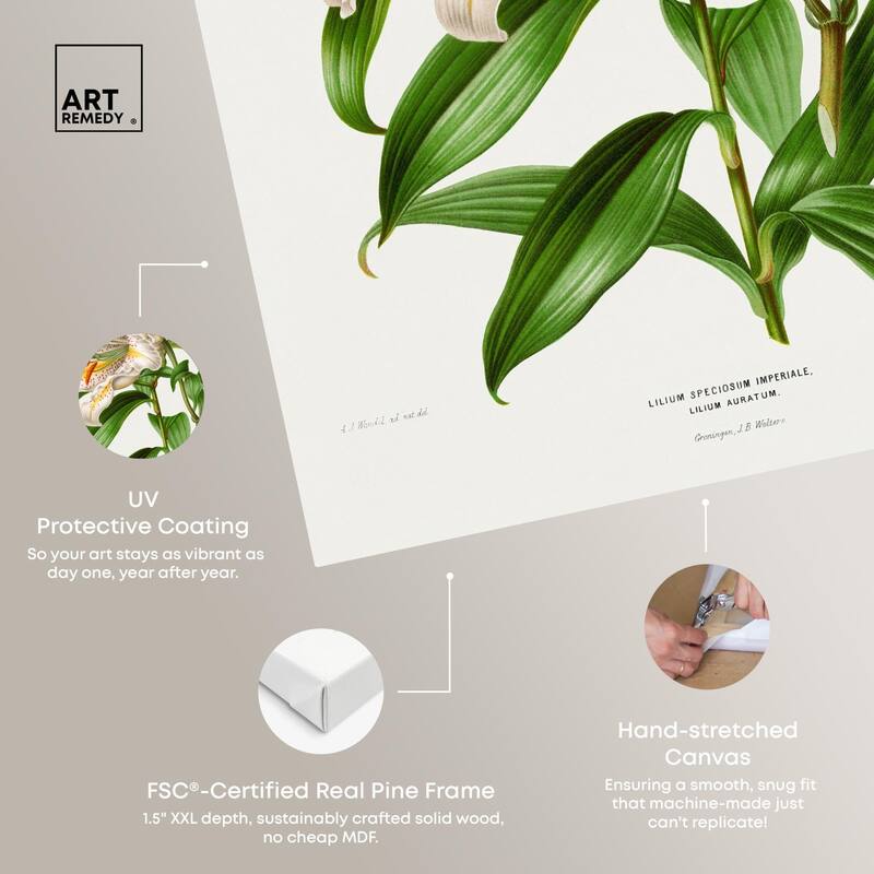 Lilium Speciosum Imperiale Canvas by Art Remedy, Gallery Wrapped