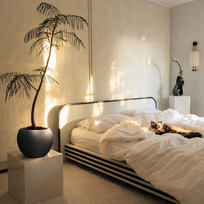 DreamPatio Riverside Fiberstone Composite Ball Planter for Indoor/Outdoor - Smooth Automotive 2K Coating