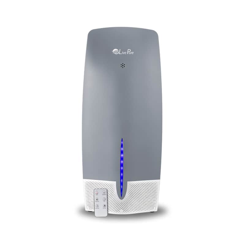 LivePure True HEPA Air Purifier w/Granular Carbon Insert, LP470THP - Graphite
