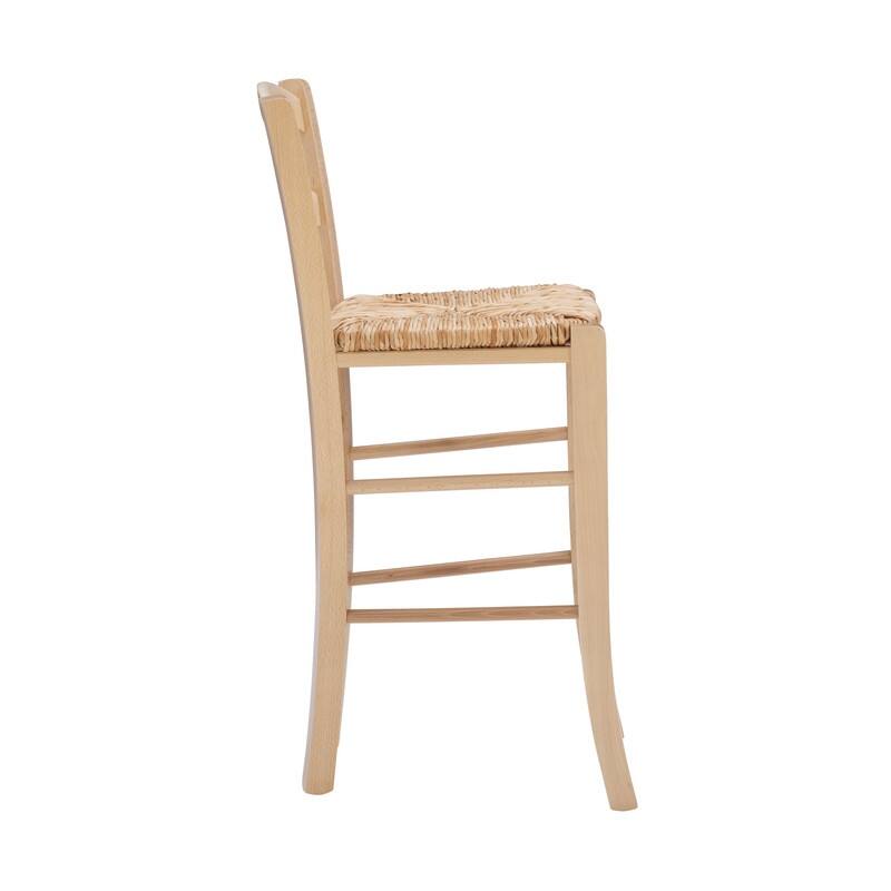 Cloney Counter Stool (Set of 2)