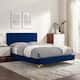 Option Blue