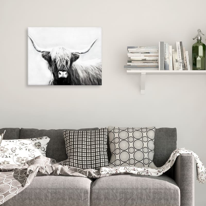Highland Longhorn by Danita Delimont Canvas Art Print
