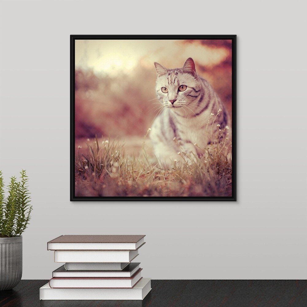 Shop Cat In Grass At Sunset Black Float Frame Canvas Art Free