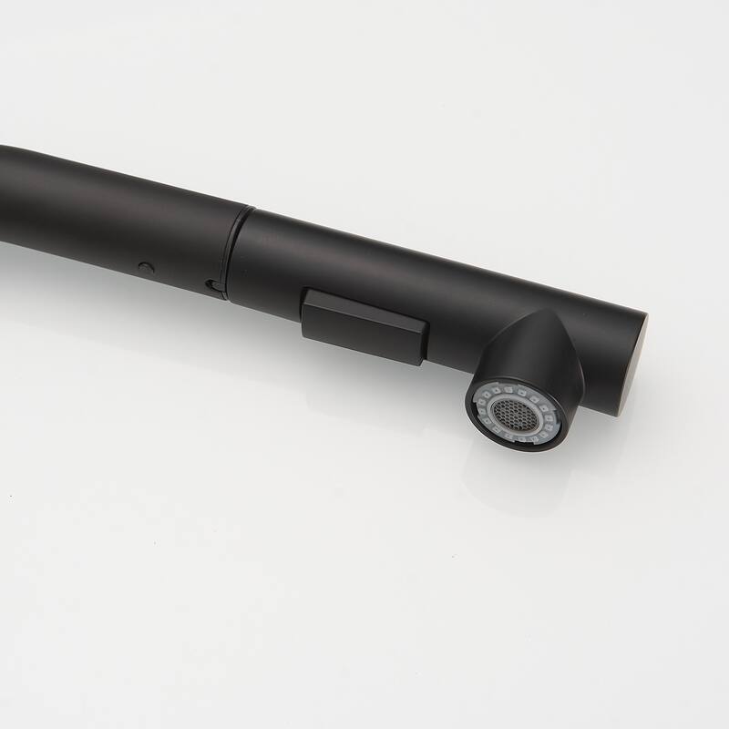 Single Handle Pull-down Kitchen Faucet with Deck Plate Brushed Nickel