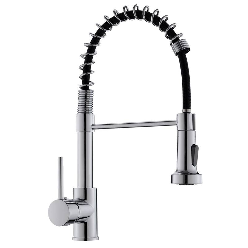 Single-Handle Pull-Out Sprayer Kitchen Faucet with Dual Function
