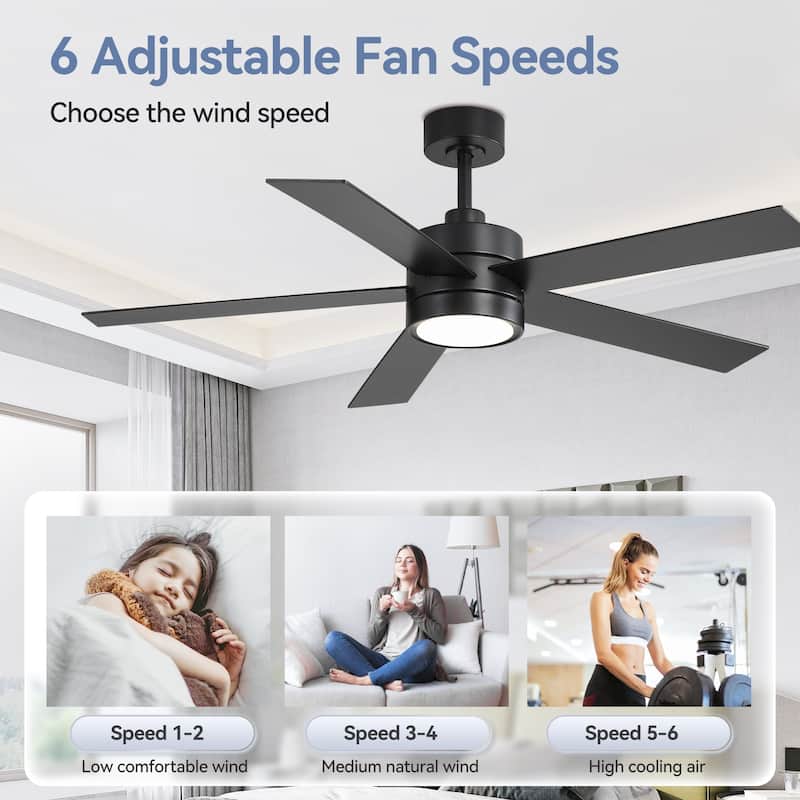 52-IN LED Ceiling Fan with Light Kit and Remote- 5 Blades