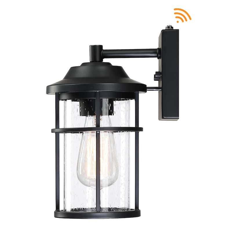 1-Light Matte Black Metal Outdoor Dusk to Dawn Light Seeded Glass Shade - Single