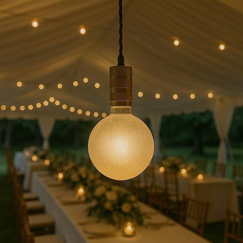 Festive Living LED G125 + COB Bulb Indoor/Outdoor Covered Edison Bulbs, E26 Base - Solara Classic - Large