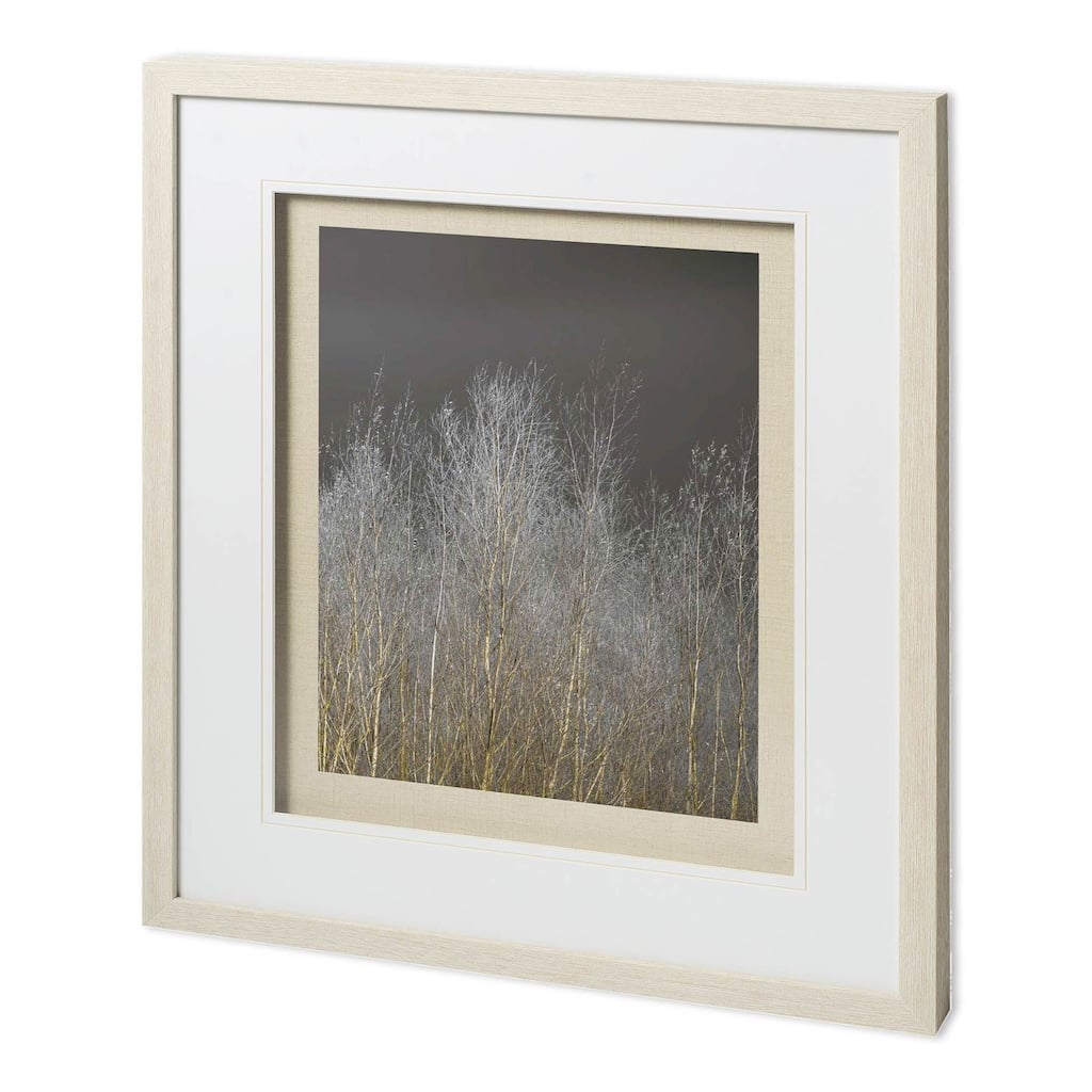 Silver Forest III Framed Art Print