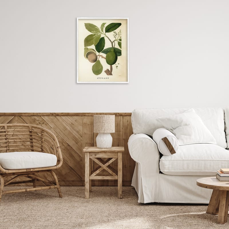 Stupell Vintage Avocado Plant Framed Giclee Art Design By Lil' Rue