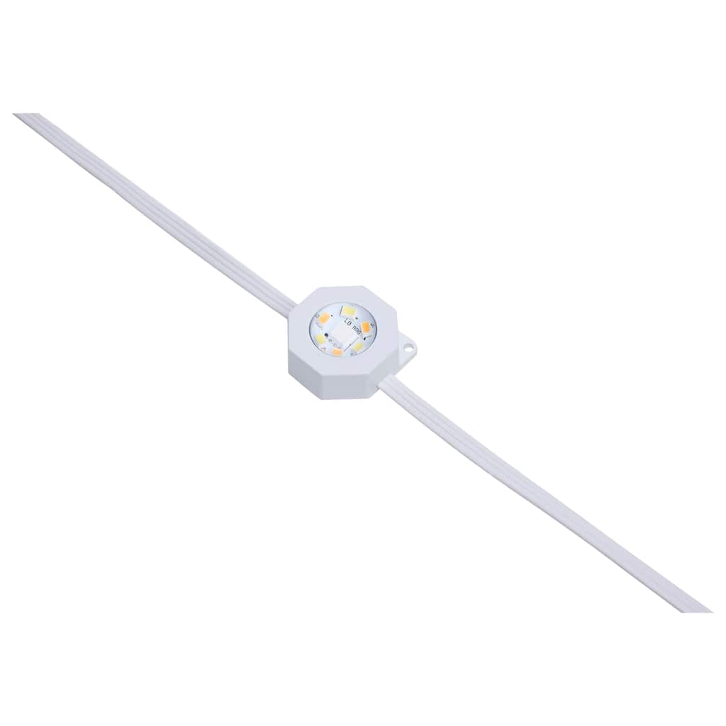 Starfish 12 Watt 25 Foot LED Eave String Light Extension RGBTW White 120