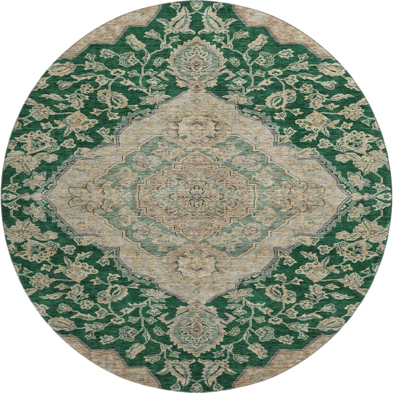 Premium Washable Super Soft Classic Traditional Mayfield Rug
