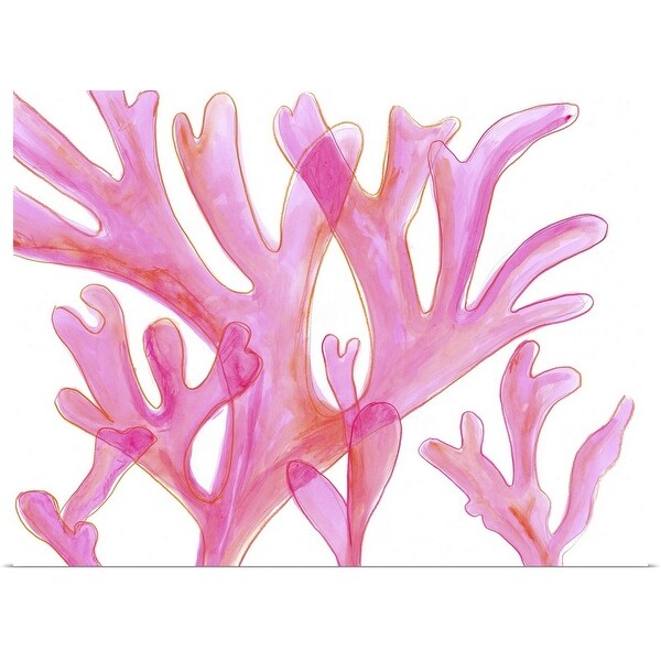 "Sea Kelp" Poster Print