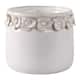 Option Ivory