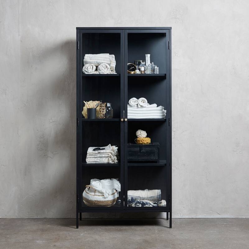 Rye Studio Cairyn Modern Glass and Metal Cabinet