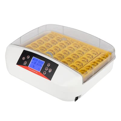 42-Egg/56-Egg Practical Fully Automatic Poultry Incubator