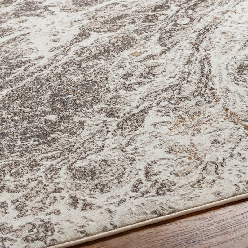 Livabliss Transitional Allegro Plus Abstract Area Rug