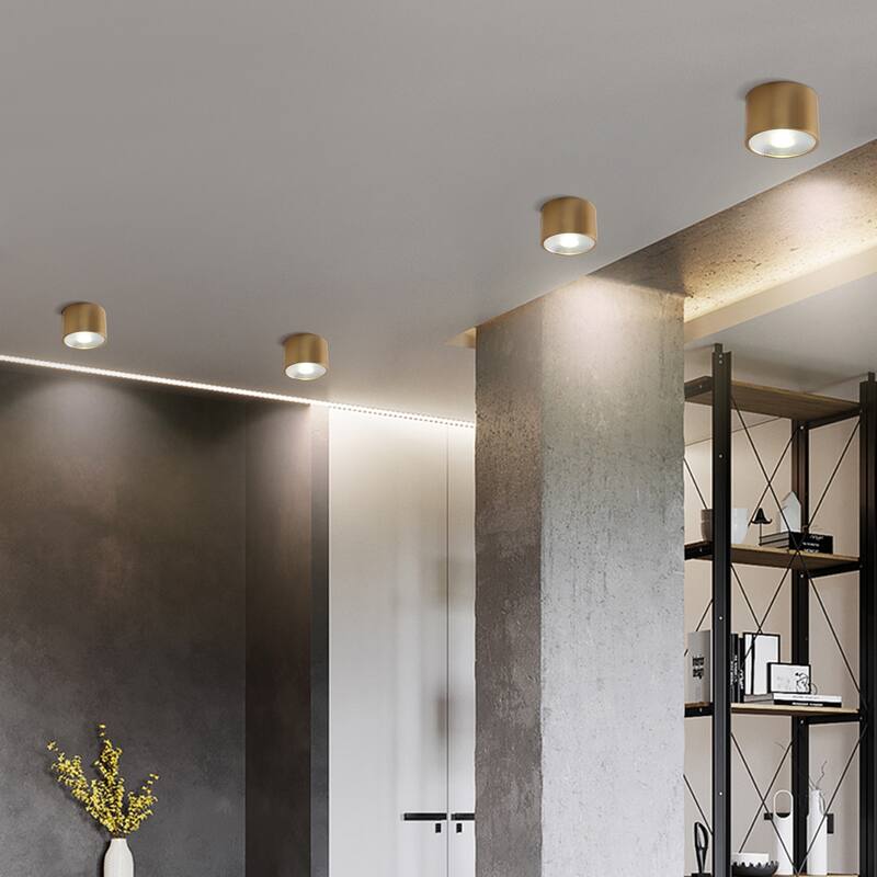 LED Flush Mount Ceiling Light Modern Light Fixtures Ceiling