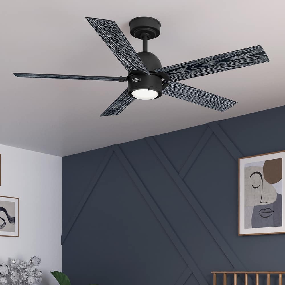 Hunter 52" Erling ENERGY STAR Ceiling Fan with LED Light Kit and Handheld Remote - Contemporary, Transitional, Modern Farmhouse