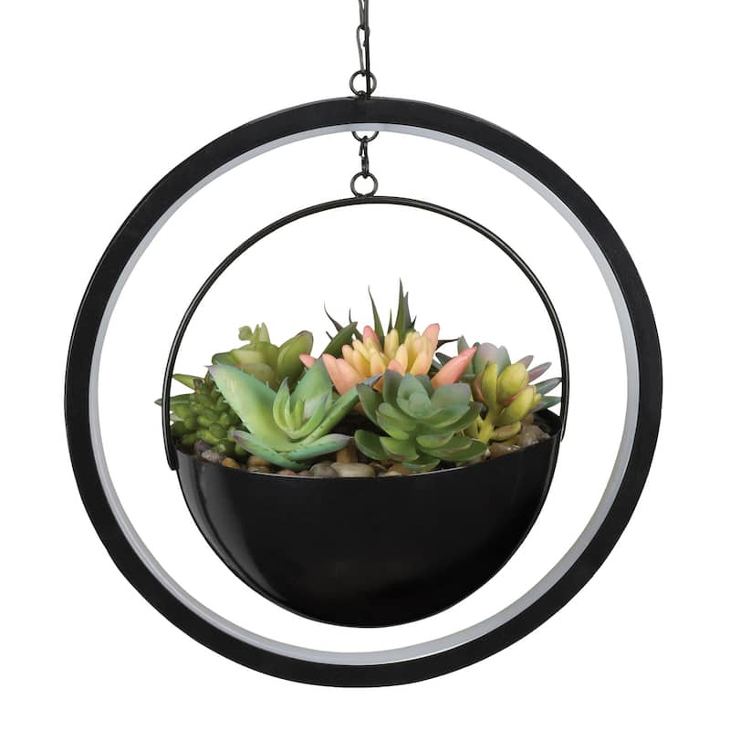 Lumen Succulent Solar Lantern - Round