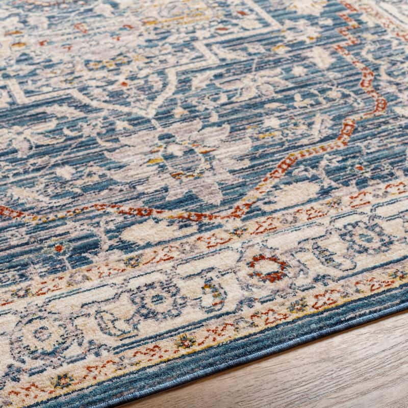 Niengold Traditional Medallion Area Rug