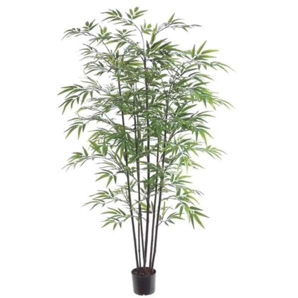 Set Of 2 Potted Artificial Black Bamboo Trees 5 Green Free Set Of 2 Potted Artificial Black Bamboo Trees 5 X27