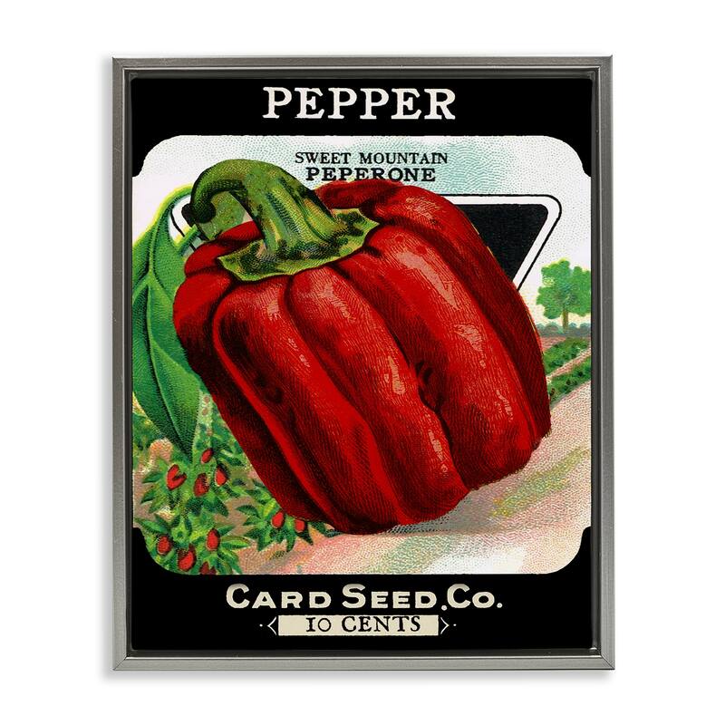 Stupell Vintage Garden Peppers Framed Floater Canvas Wall Art Design By Lil' Rue - 25 x 31 - Grey