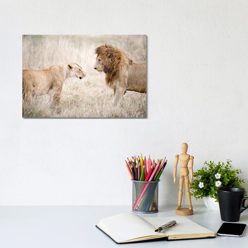 iCanvas "Lion And A Lioness Standing Face To Face In A Forest, Ngorongoro Crater, Tanzania" by Panoramic Images Canvas Print - 8x12x0.75
