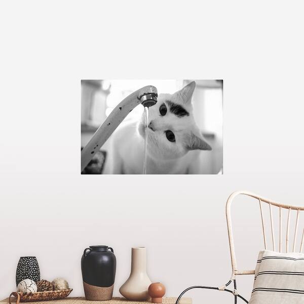 Shop Cat Drinking Water From Faucet Poster Print Free