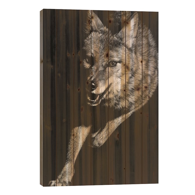 Wild Scratchboard V Print On Wood by Julie T. Chapman - Multi-Color - 26x18x1.5