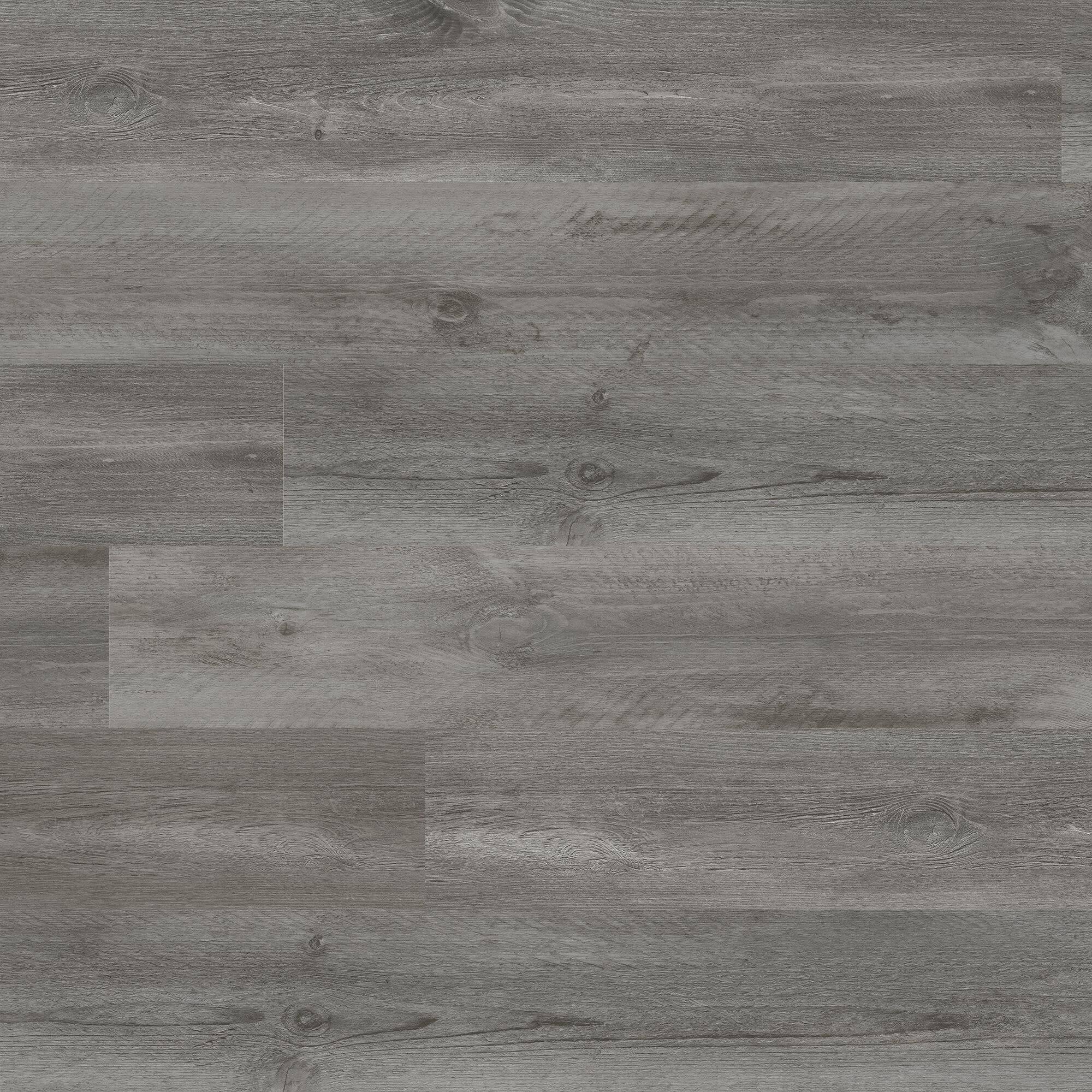 Option Reserve Birch