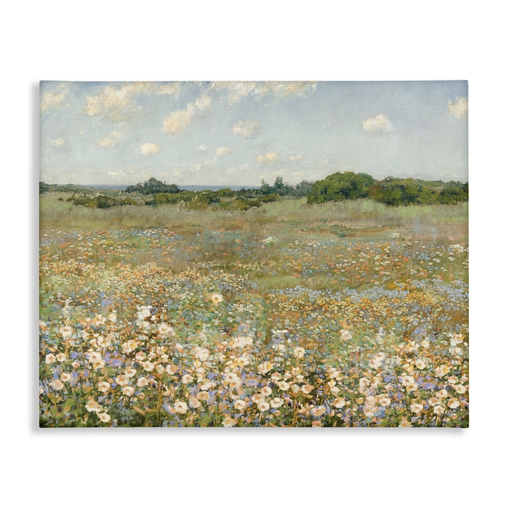 Stupell Vast Flower Speckled Meadow Canvas Wall Art Design By Amber Sterling