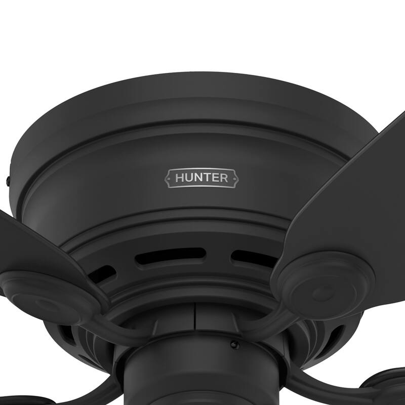 Hunter 42" Low Profile IV Flush Mount Ceiling Fan and Pull Chain, Matte Black - Traditional, Transitional