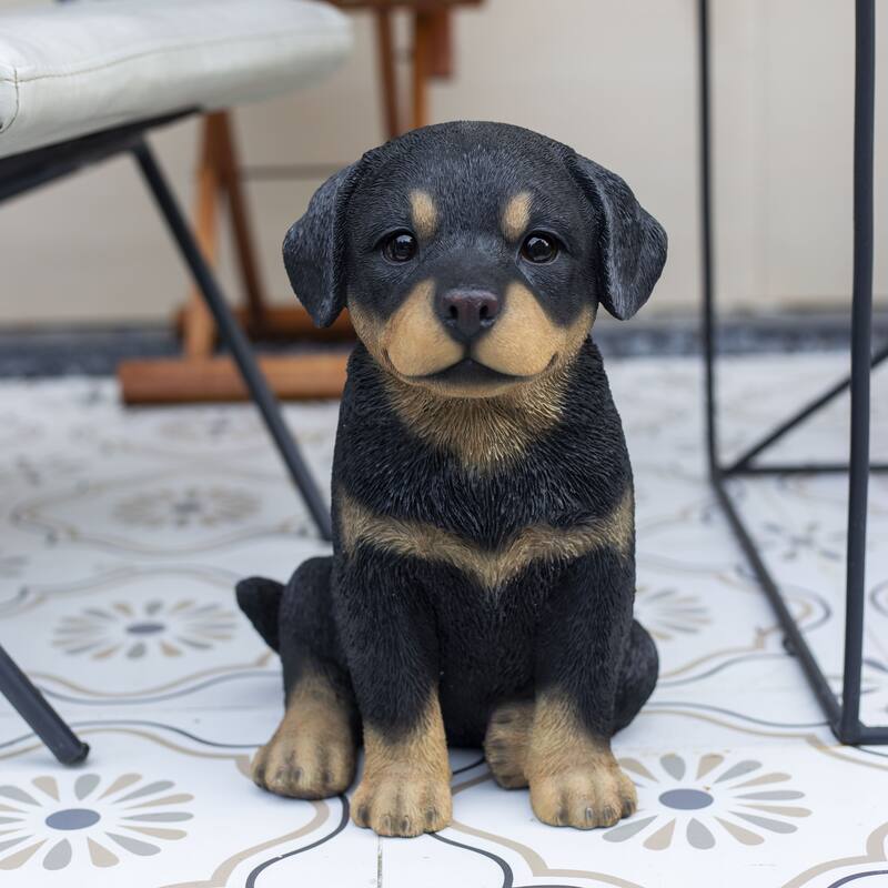 SoReal Black Rottweiler